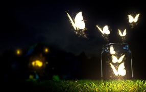 Светящиеся бабочки вечером