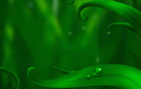 Пауки висят на паутине