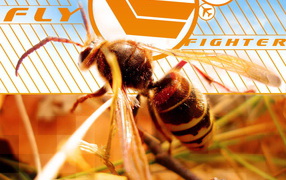 Осиная талия