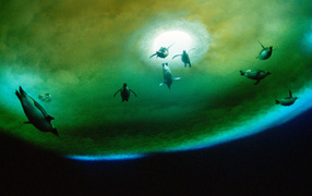 Пингвины около проруби