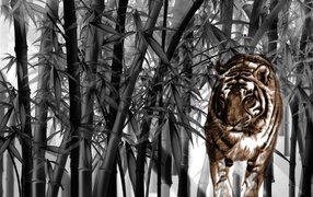 Тигр среди бамбука