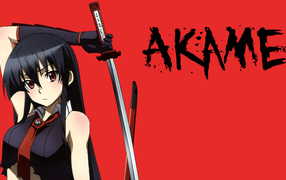 Аниме Akame ga Kill