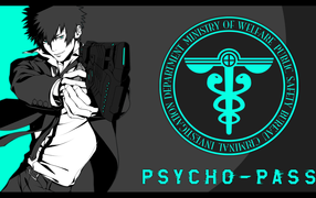 Символ аниме Psycho-Pass