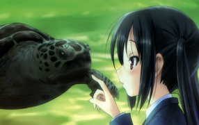 Девушка аниме и черепаха