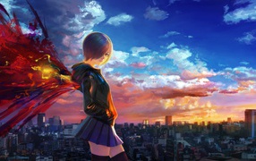 Аниме Touka Kirishima