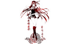 Девушка аниме Akame ga Kill