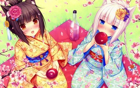 Аниме девушки на пикнике, Neko Para