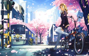 Аниме девушка на велосипеде у переезда
