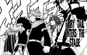 Черно белый рисунок аниме Сказка о хвосте феи