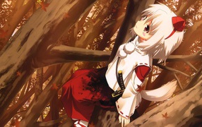 Белокурая девушка в аниме Touhou Project