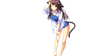 Девушка кошка, аниме Neko Para