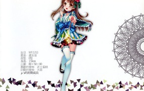 Персонаж аниме Love Live Минами Котори