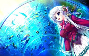 Девушка в океанариуме в аниме Натюрморт в серых тонах