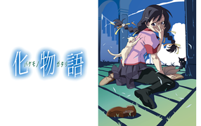 Девушка с кошкой в аниме Истории монстров