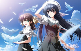 Девушки и голуби в аниме Эф - история воспоминаний