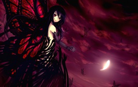 Принцесса бабочка из аниме