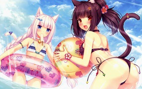 Отдых на пляже, аниме Neko Para