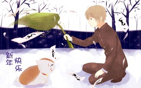 Парень играет с котом