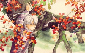 Главный герой аниме Мастер Муси