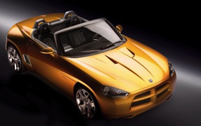 Красивый спортивный кабриолет