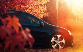 Black car under the autumn leaves