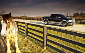 Черный пикап на ферме среди загонов