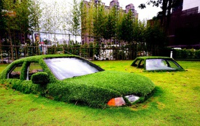 Автомобили утонули в газоне