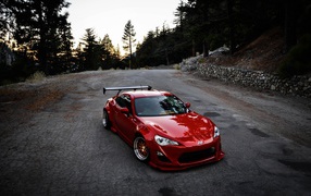 Red Scion in the country