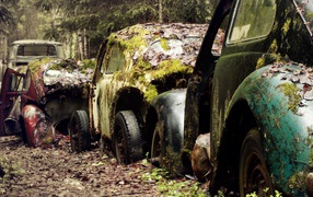 Остатки старых брошенных автомобилей