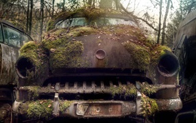 Rusty old auto body overgrown with moss