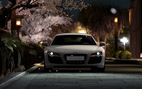 Ауди Р8 в японском саду