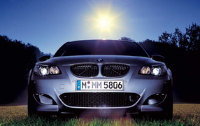 BMW на солнечной поляне
