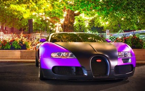 Сиреневый Bugatti Veyron с черным капотом