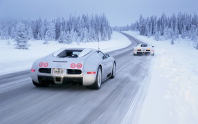 Два белых Bugatti Veyron на заснеженной дороге