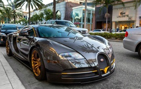 Car Bugatti Veyron by Mansory Linea