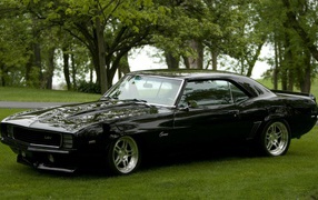 Black Chevrolet Camaro RS on the lawn