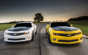 Соревнования белого и желтого Chevrolet Camaro