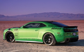 Lettering on a green Chevrolet Camaro