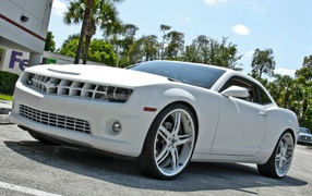 Мощный белый Chevrolet Camaro Asanti