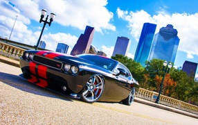 Black Dodge Challenger with red stripes on the background of skyscrapers