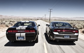 Competition cars Dodge Challenger and Dodge Charger