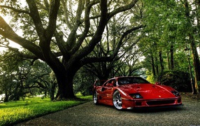 Red Ferrari under the tree