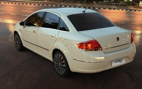 Rear view of the white Fiat the road