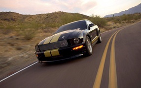 Black Mustang with yellow stripes on the body
