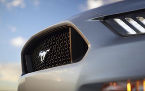 Радиаторная решетка автомобиля Форд Мустанг 2015