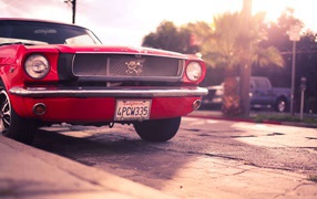 Череп на решетке автомобиля Ford Mustang