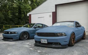 Два автомобиля Ford Mustang GT 5.0