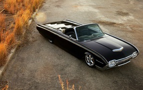 Двухместный Ford Thunderbird