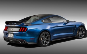 Rear view of the blue Ford Shelby GT350 on a gray background