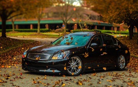 Автомобиль Infiniti в осеннем парке